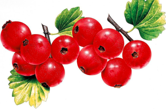 月嫂常识:坐月子吃什么水果会对身体比较好？