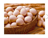 月子里不可猛吃鸡蛋